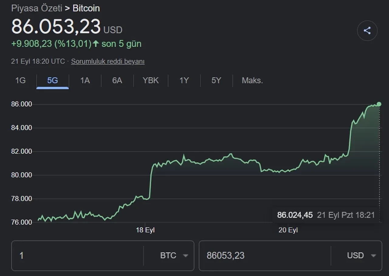 Bitcoin neden yükseliyor? Son Dakika BTC 100 bin dolar olur mu?