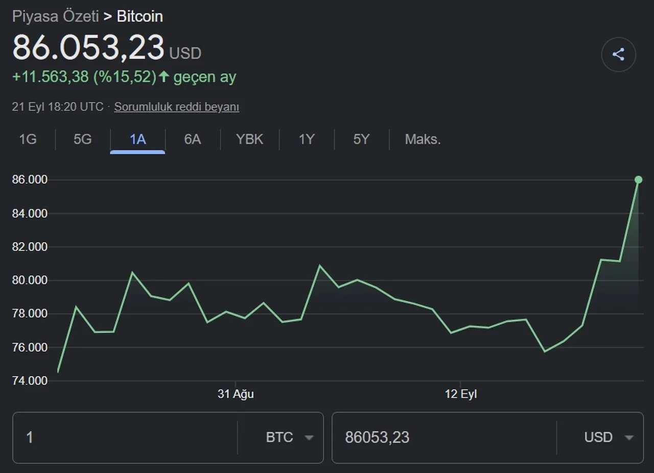 Bitcoin neden yükseliyor? Son Dakika BTC 100 bin dolar olur mu?