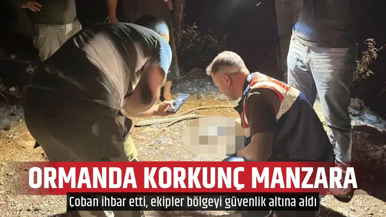 ORMANDA KORKUNÇ MANZARA