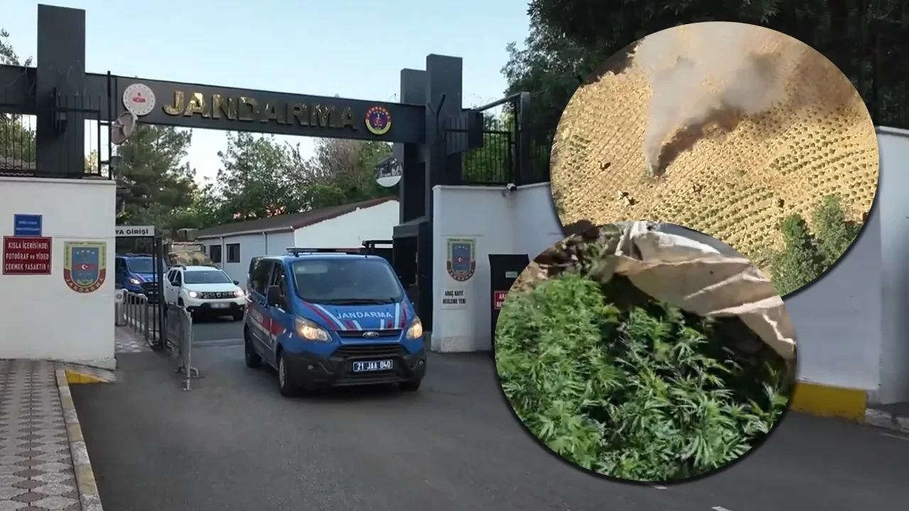 Diyarbakır'da zehir tacirlerine dev operasyon! Binlercesi imha edildi
