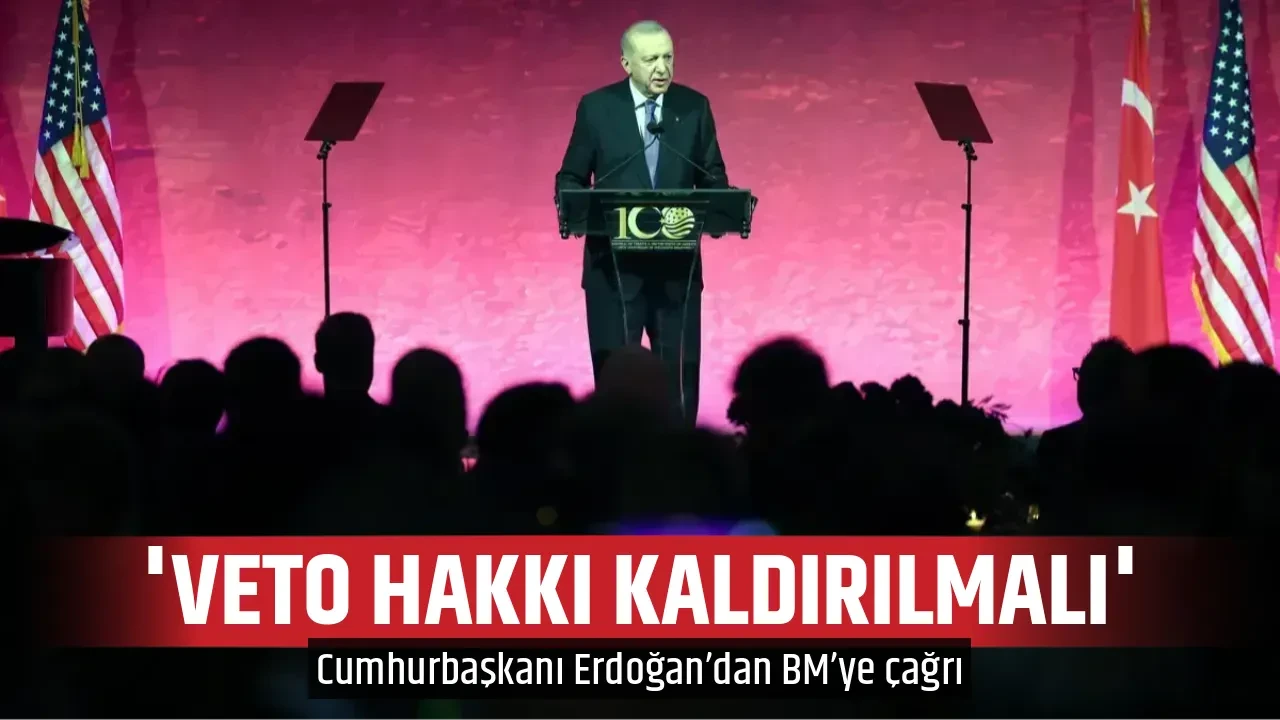 'VETO HAKKI KALDIRILMALI'