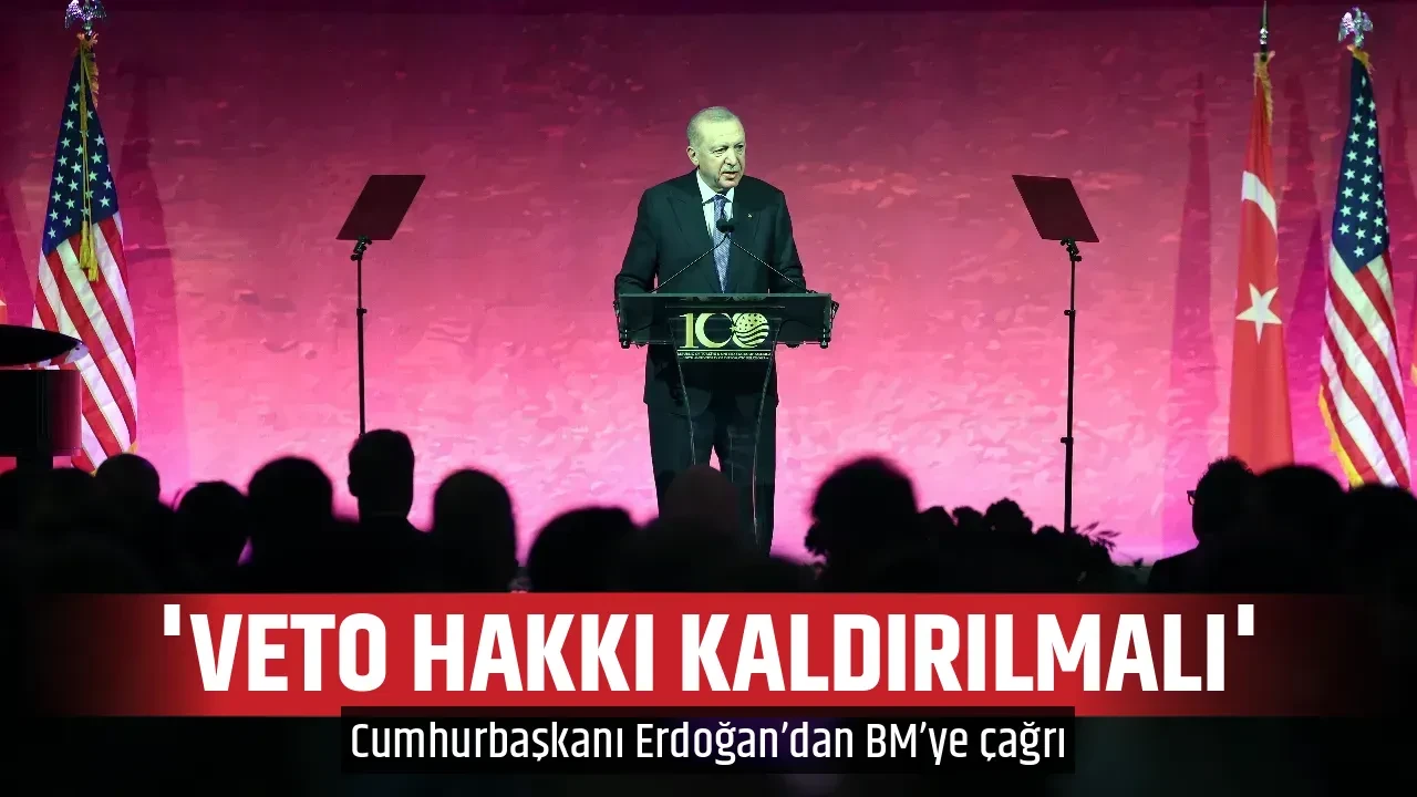 'VETO HAKKI KALDIRILMALI'