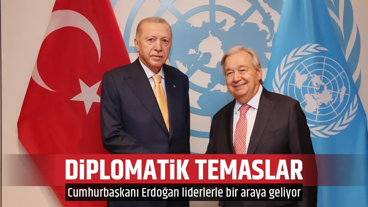 DİPLOMATİK TEMASLAR