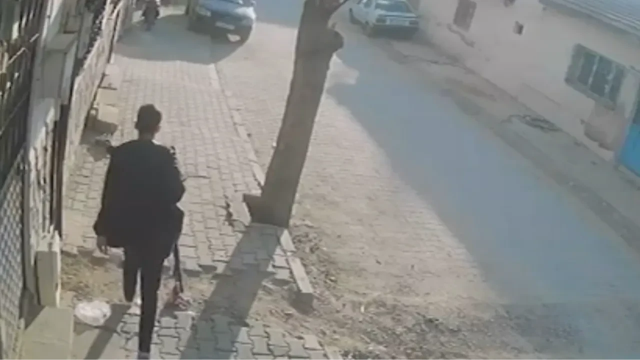 Fotoğraf