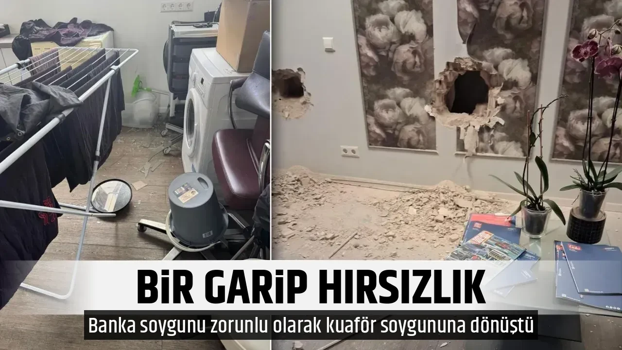 BİR GARİP HIRSIZLIK