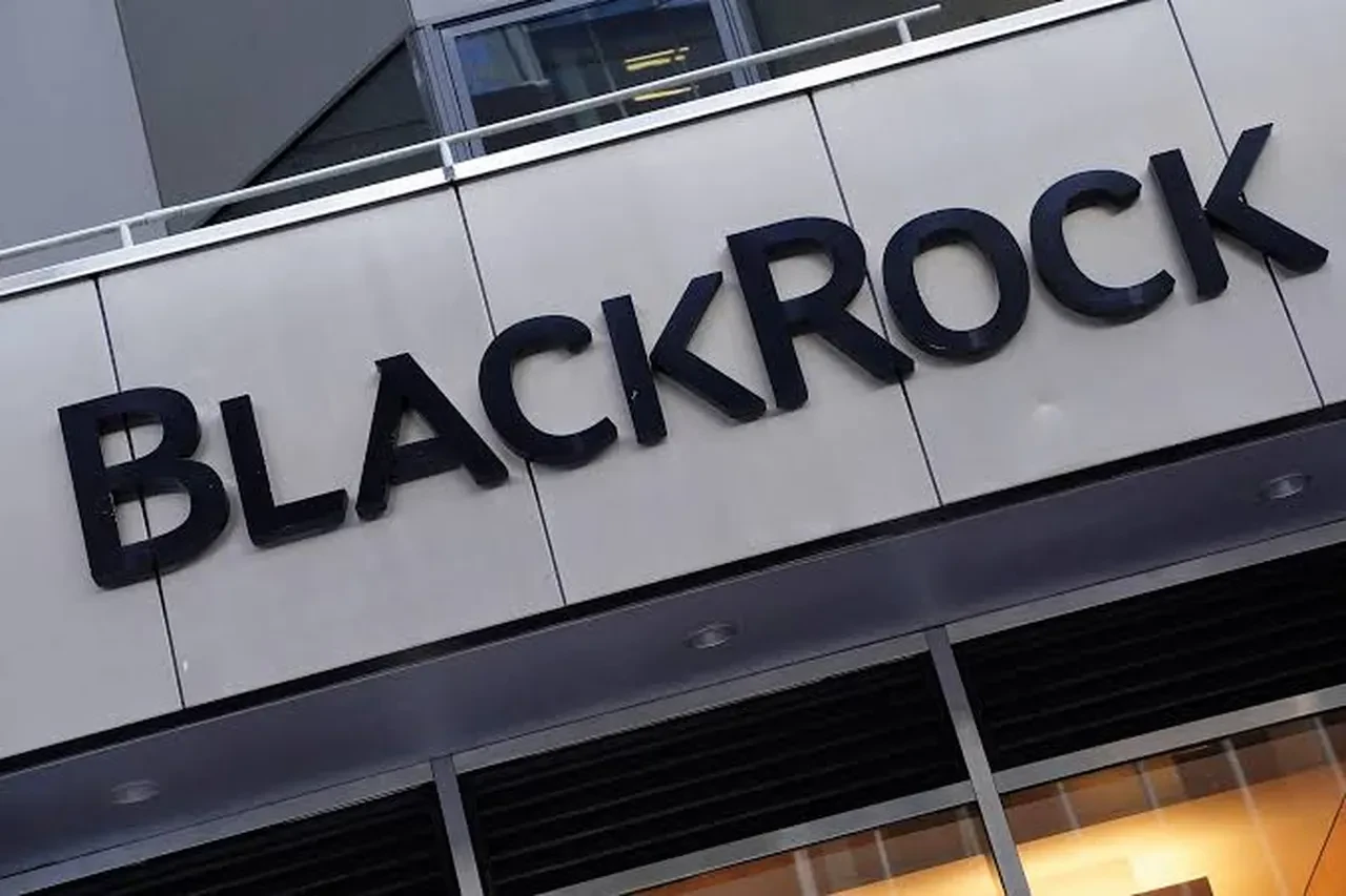 BlackRock'tan çarpıcı öngörü: Yapay zeka ve kripto para finansın kurallarını değiştirecek!
