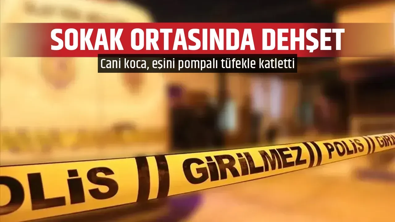 SOKAK ORTASINDA DEHŞET