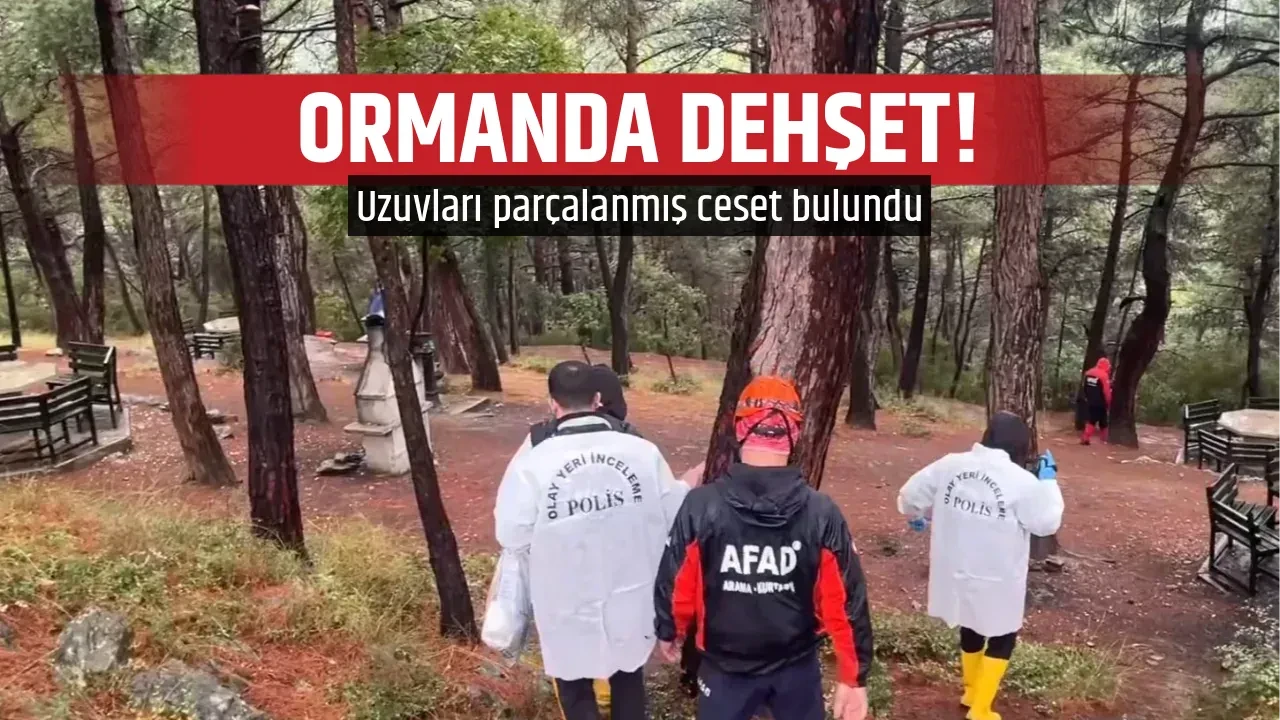 ORMANDA DEHŞET!