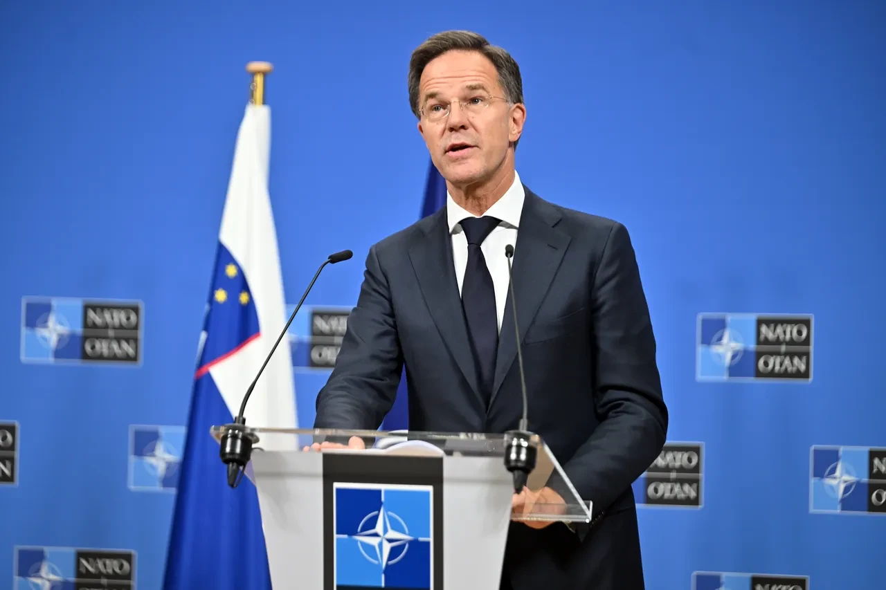 NATO Genel Sekreteri Rutte'den Putin yorumu: "Onu biraz tanıyorum, paniğin eşiğinde"