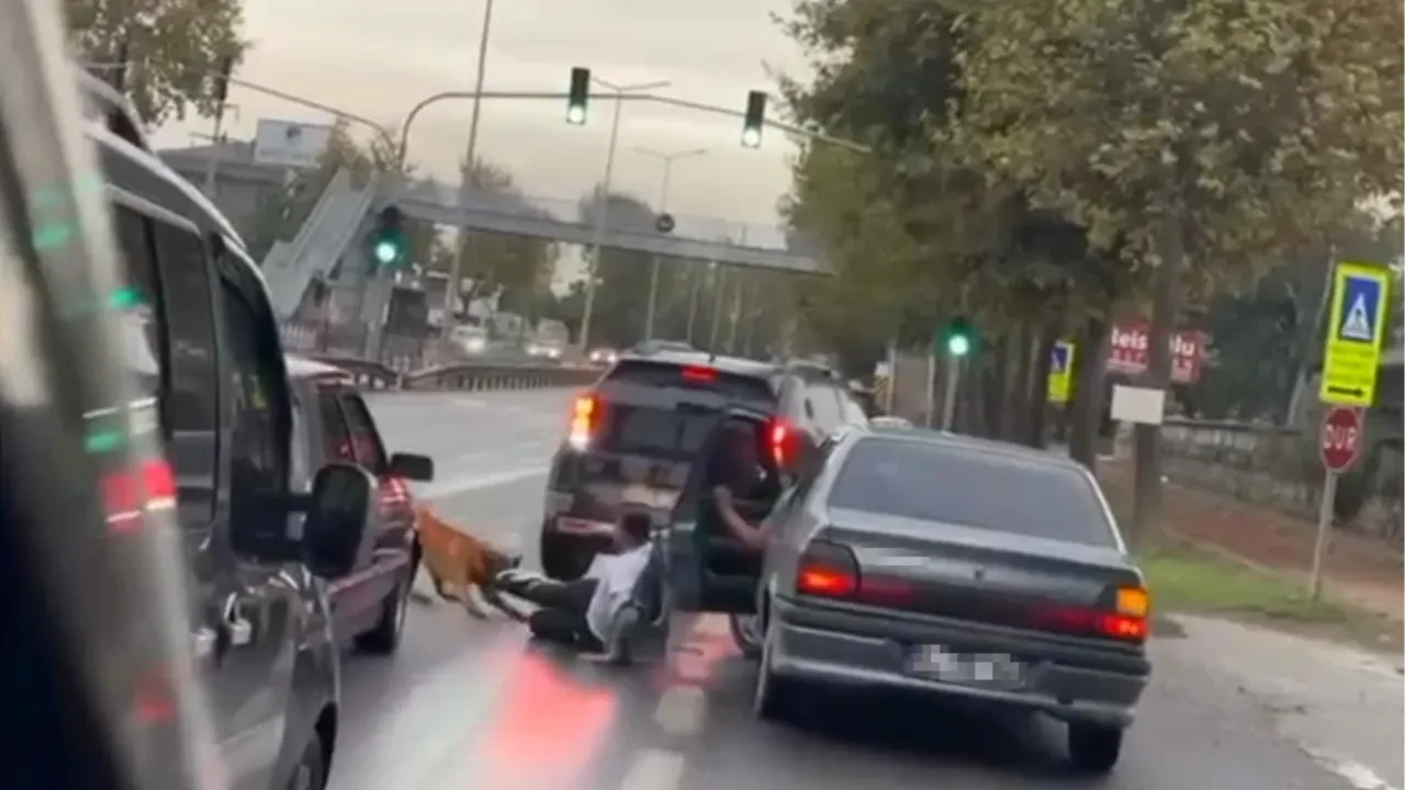 Sakarya'da köpek saldırısı kamerada! ‘’Nasıl bir köpek bu zinciri koparmış’’