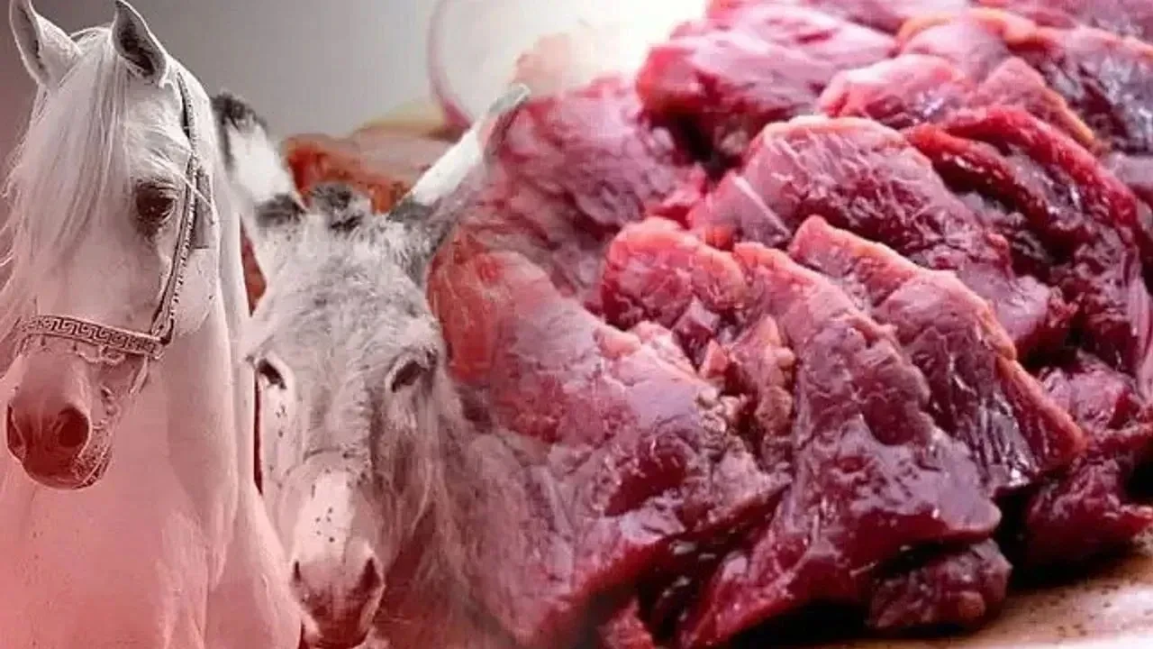Vatandaşın sağlığıyla oynayan işletmeler açıklandı! Binlerce kişiye at ve eşek eti yedirmişler