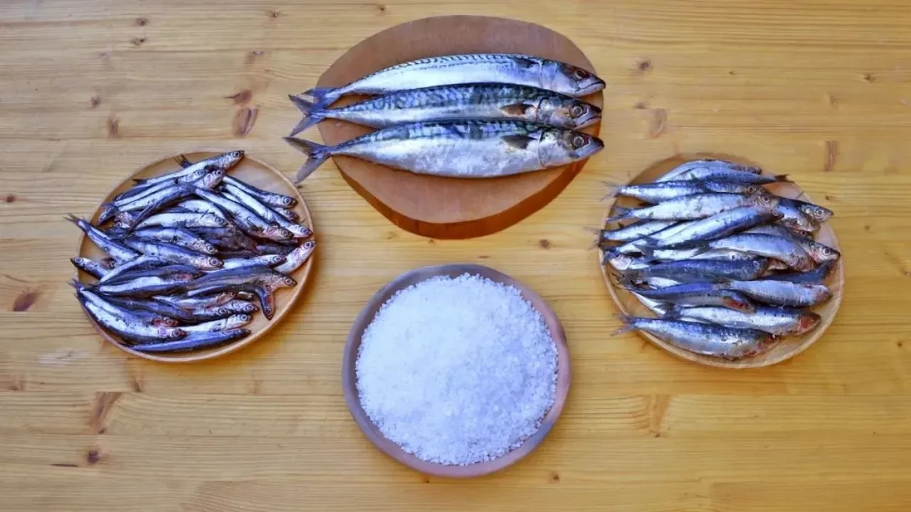 MasterChef 2025 şampiyonu Sezer'den garum sosu! Antik lezzetin sırrı umami