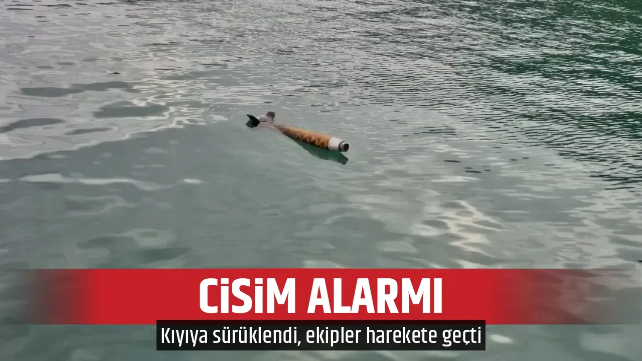 CİSİM ALARMI
