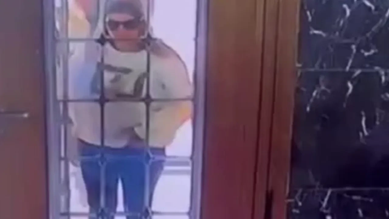 Hırsızlar evin kedisinin hışmına uğradı: 45 dakika uğraştılar içeri giremediler