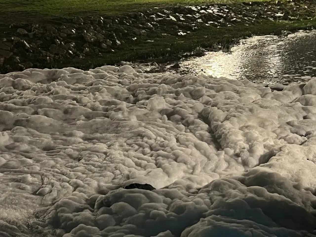 Endişelendiren görüntü! İzmit'te deniz köpürdü