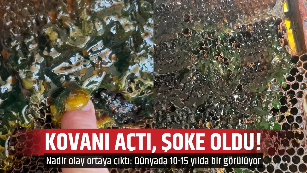 KOVANI AÇTI, ŞOKE OLDU!