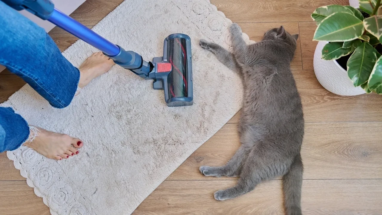 Dikey süpürge neden koku yapar? Temizlik kalitesini artıran gizli yöntem