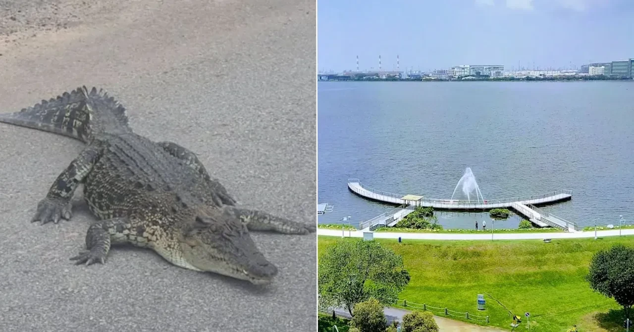 Yapay zeka ile bir fotoğraf yaptı, ülkeyi paniğe sürükledi! Hapis cezasıyla karşı karşıya