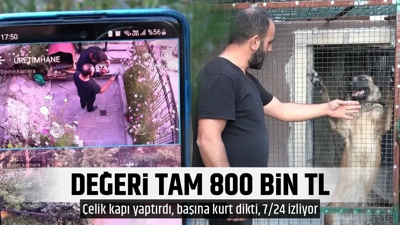 DEĞERİ TAM 800 BİN TL