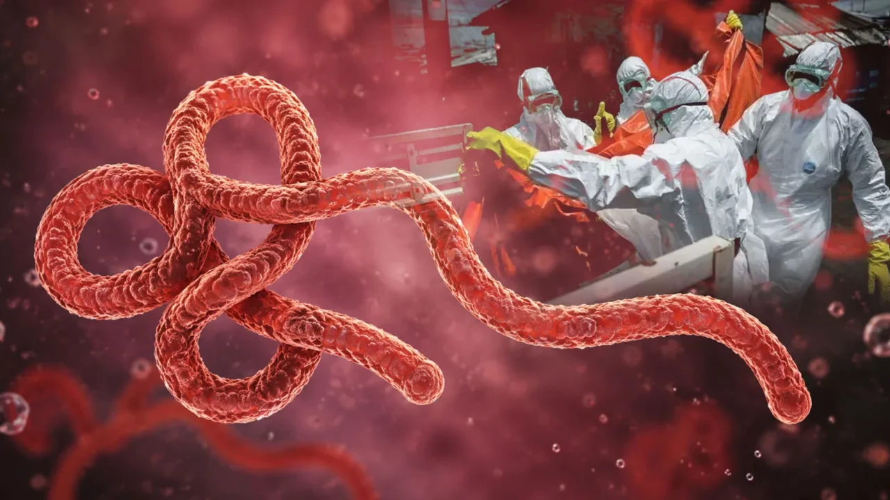 En hızlı yayılan salgın! Ebola virüsü Covid-19'u solladı! DSÖ'den korkutan açıklama: Binlerce ölüm var
