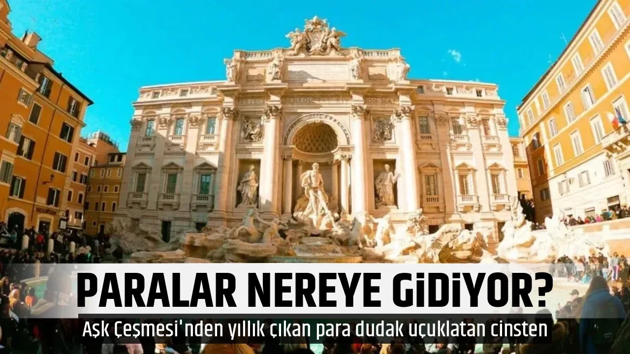 PARALAR NEREYE GİDİYOR?