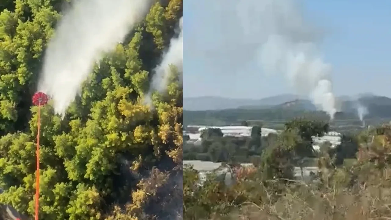 Manavgat'ta orman yangını! Alevlere havadan ve karadan müdahale sürüyor