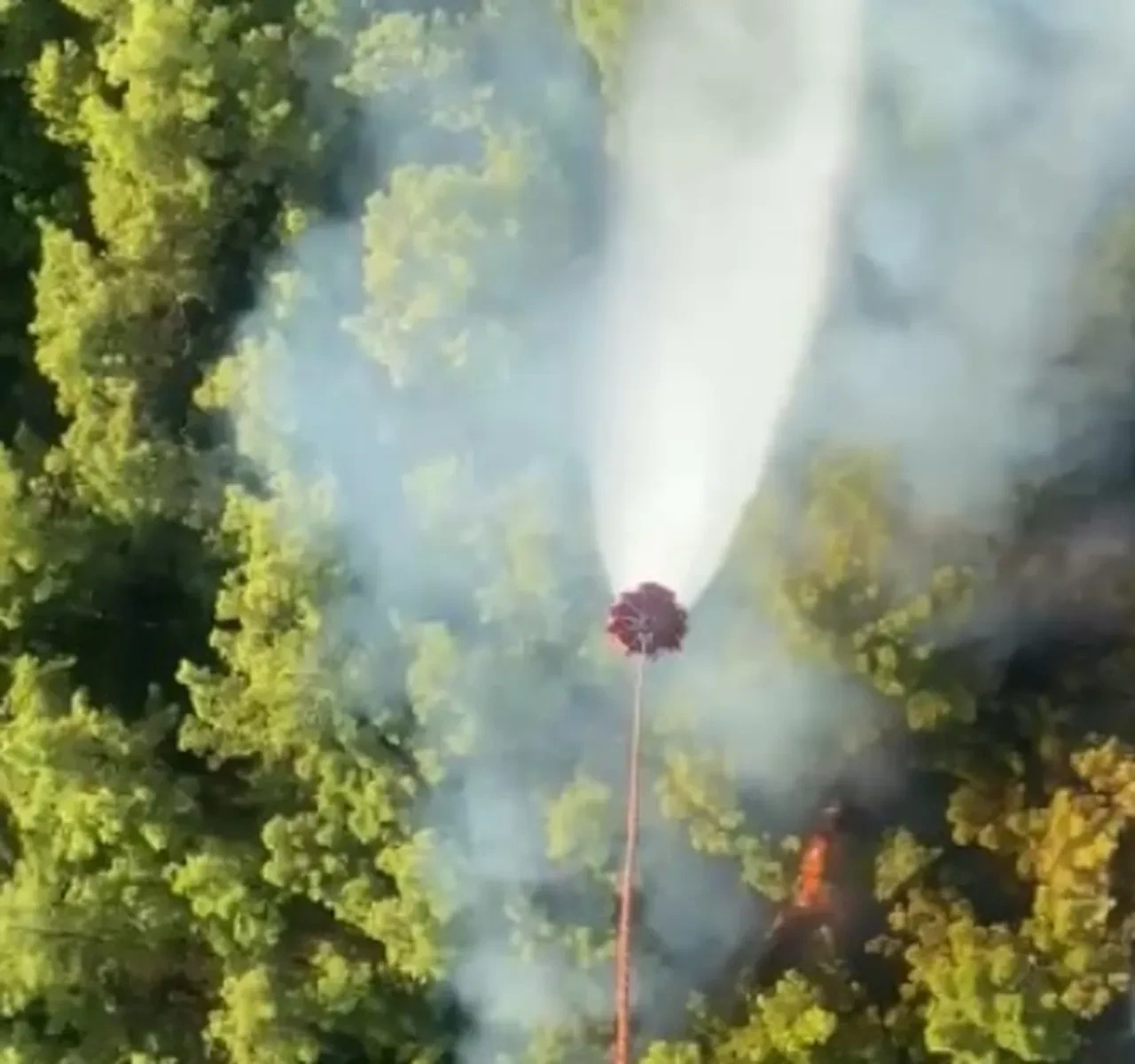 Manavgat'ta orman yangını! Alevlere havadan ve karadan müdahale sürüyor
