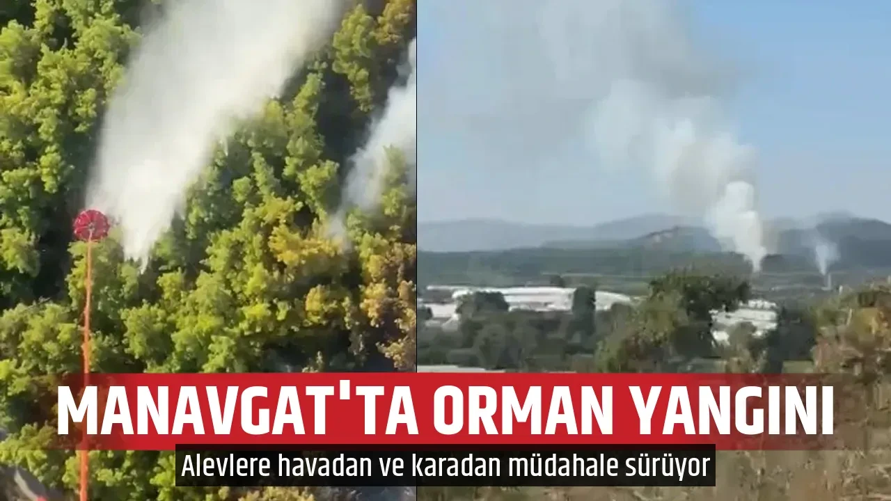 MANAVGAT'TA ORMAN YANGINI