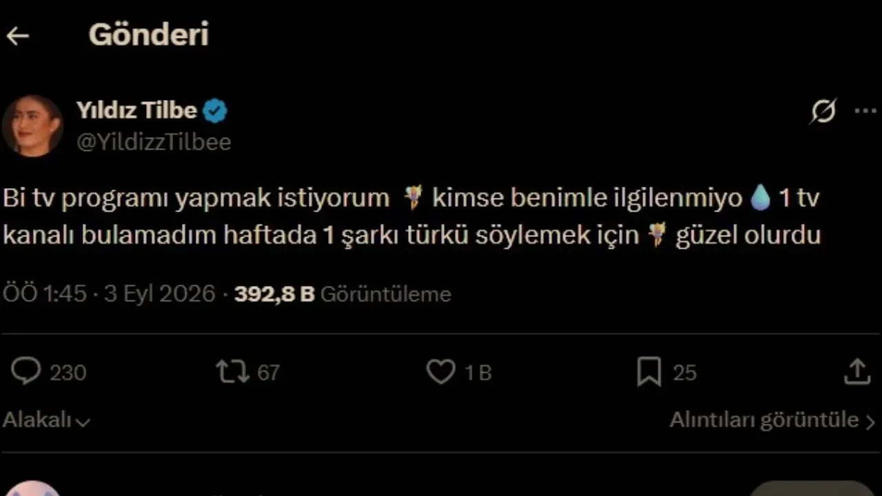 Yıldız Tilbe televizyon kanallarına seslendi! "Kimse benimle ilgilenmiyor"