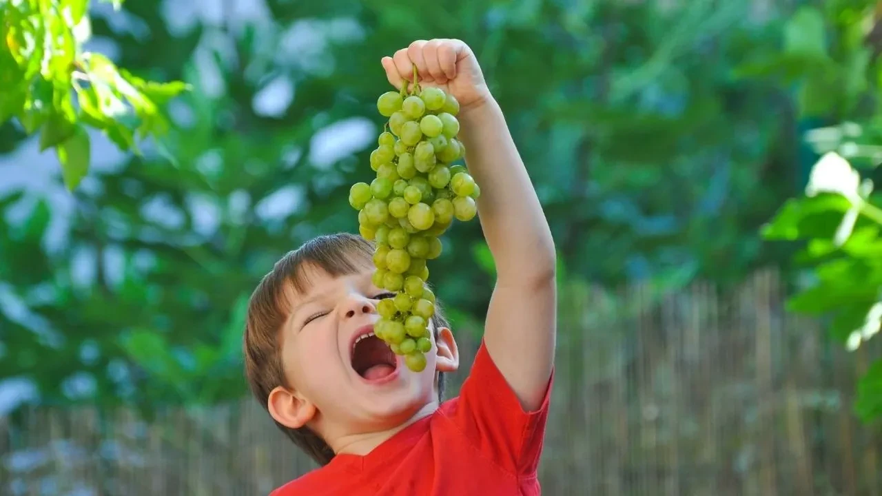 Çocuklar günde ne kadar meyve yemeli? Çocuklara ara öğünde hangi meyve verilir?