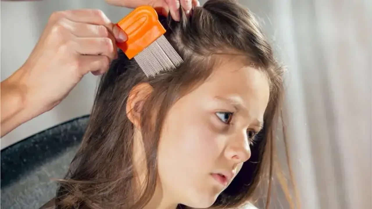 Süper bit nedir? Süper bit nasıl anlaşılır? Süper bit tehlikeli mi?