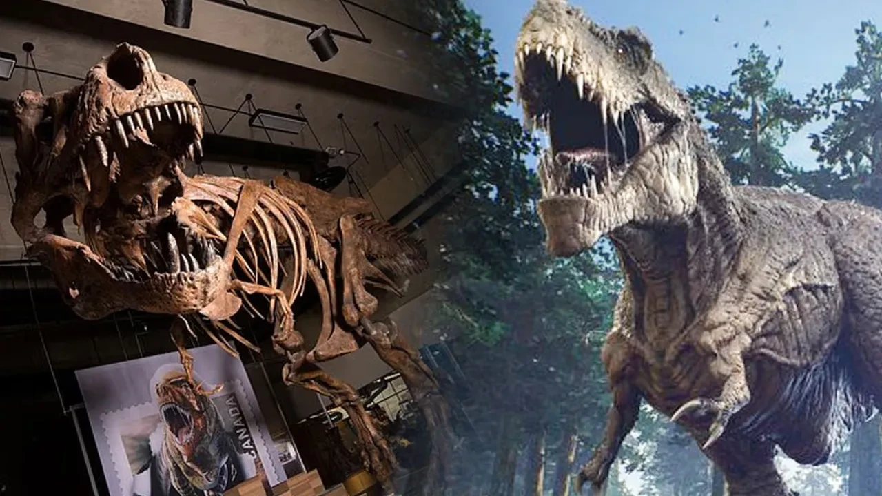 Dünyanın en büyük T-Rex'i nasıl öldü? 66 milyon yıl sonra ortaya çıktı