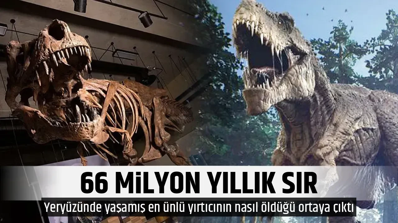 66 MİLYON YILLIK SIR 