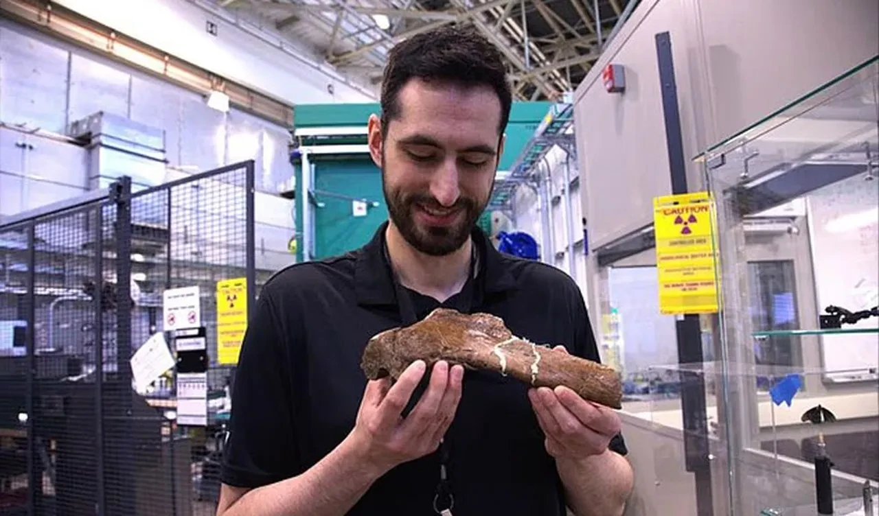 Dünyanın en büyük T-Rex'i nasıl öldü? 66 milyon yıl sonra ortaya çıktı