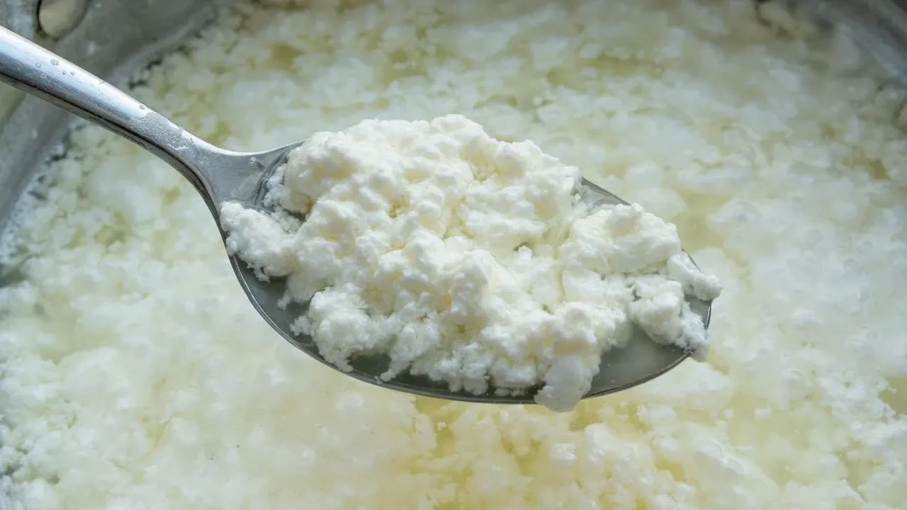Peynir mayası evde böyle kullanılıyor! Taş gibi değil, yumuşacık ev peyniri tarifi