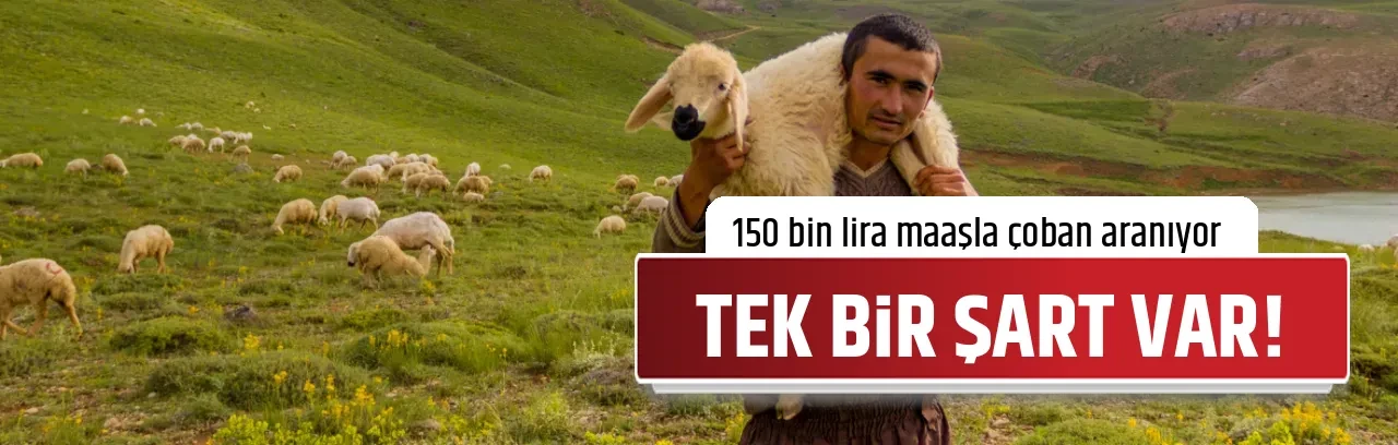 TEK BİR ŞART VAR!