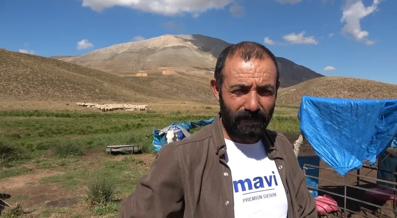 Yıllık 2 çoban