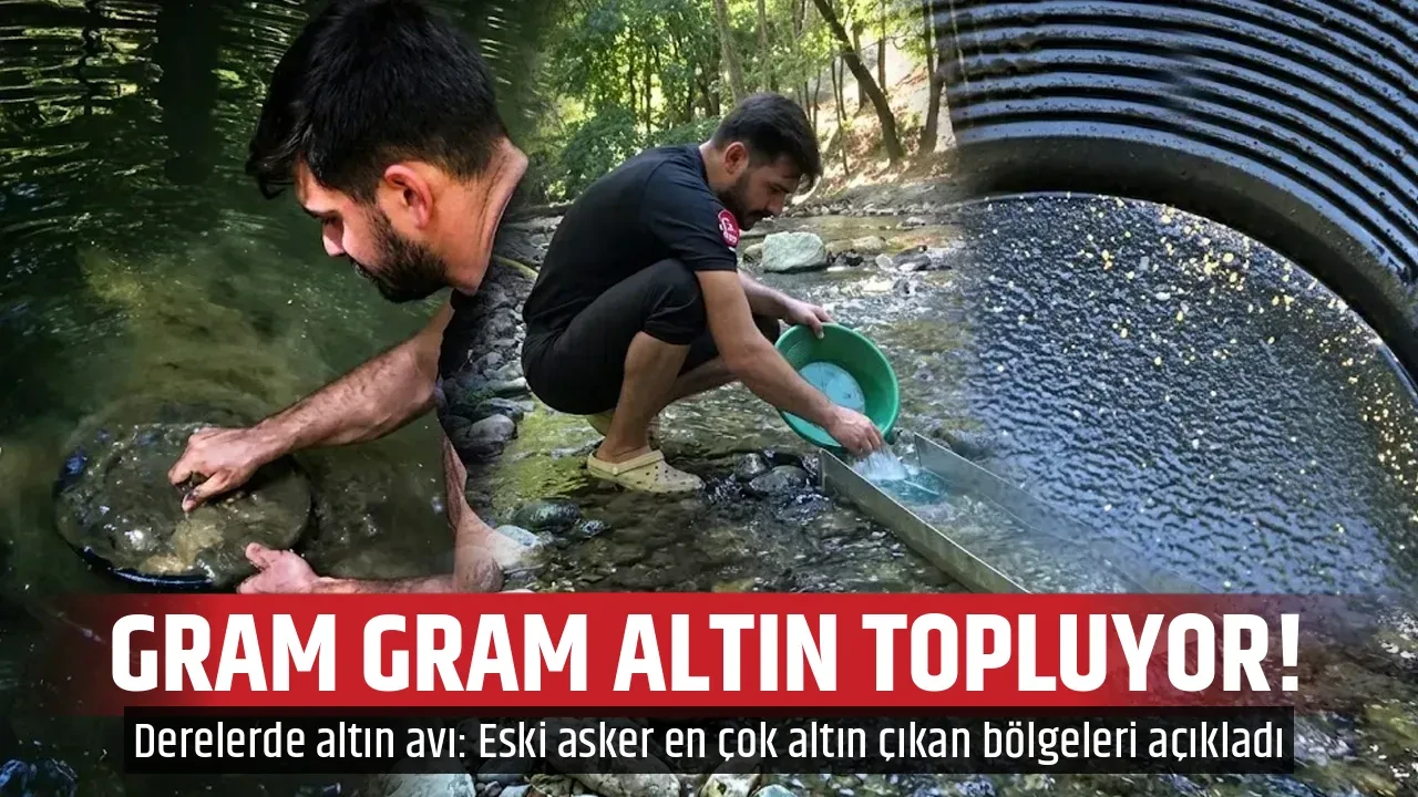 GRAM GRAM ALTIN TOPLUYOR!