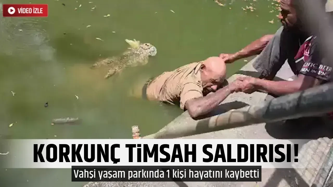 KORKUNÇ TİMSAH SALDIRISI!