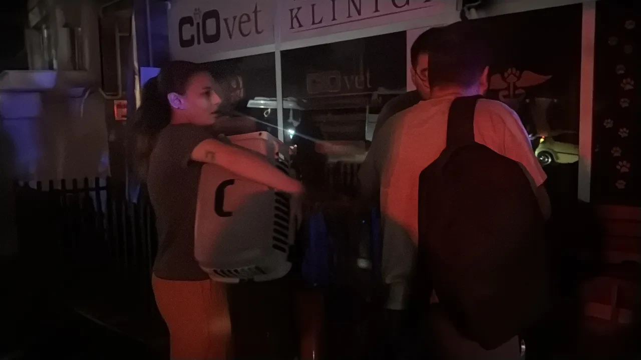 Veteriner kliniğinde can pazarı: Alevler arasında hayvanlar son anda kurtarıldı