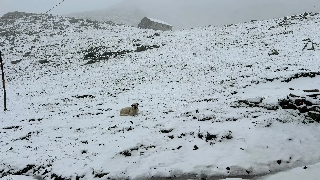 Karadeniz'de sezonun ilk karı yağdı: Kaçkarlar'dan kartpostallık görüntüler geldi