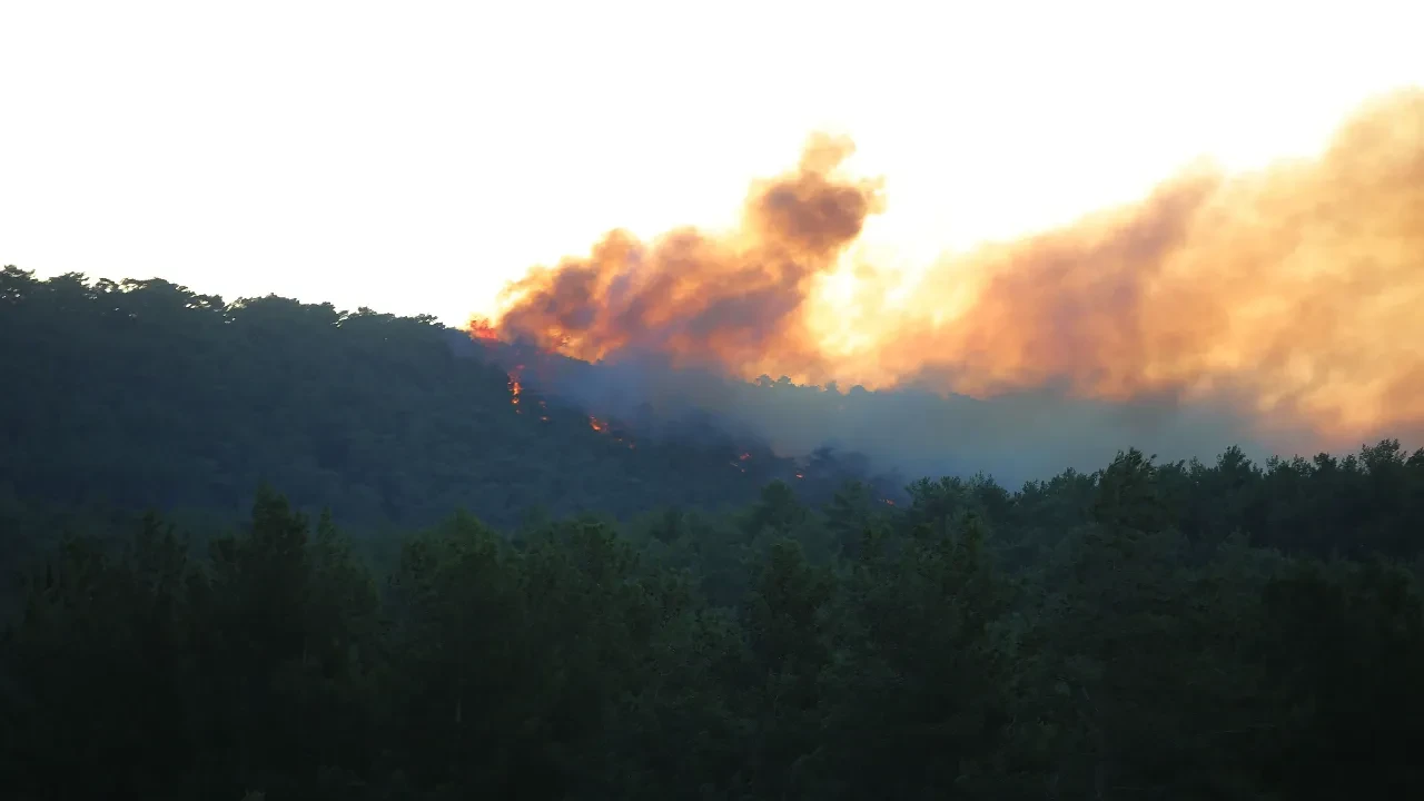 Muğla ve Antalya'da orman yangını! Ekipler alevlerle mücadele ediyor 