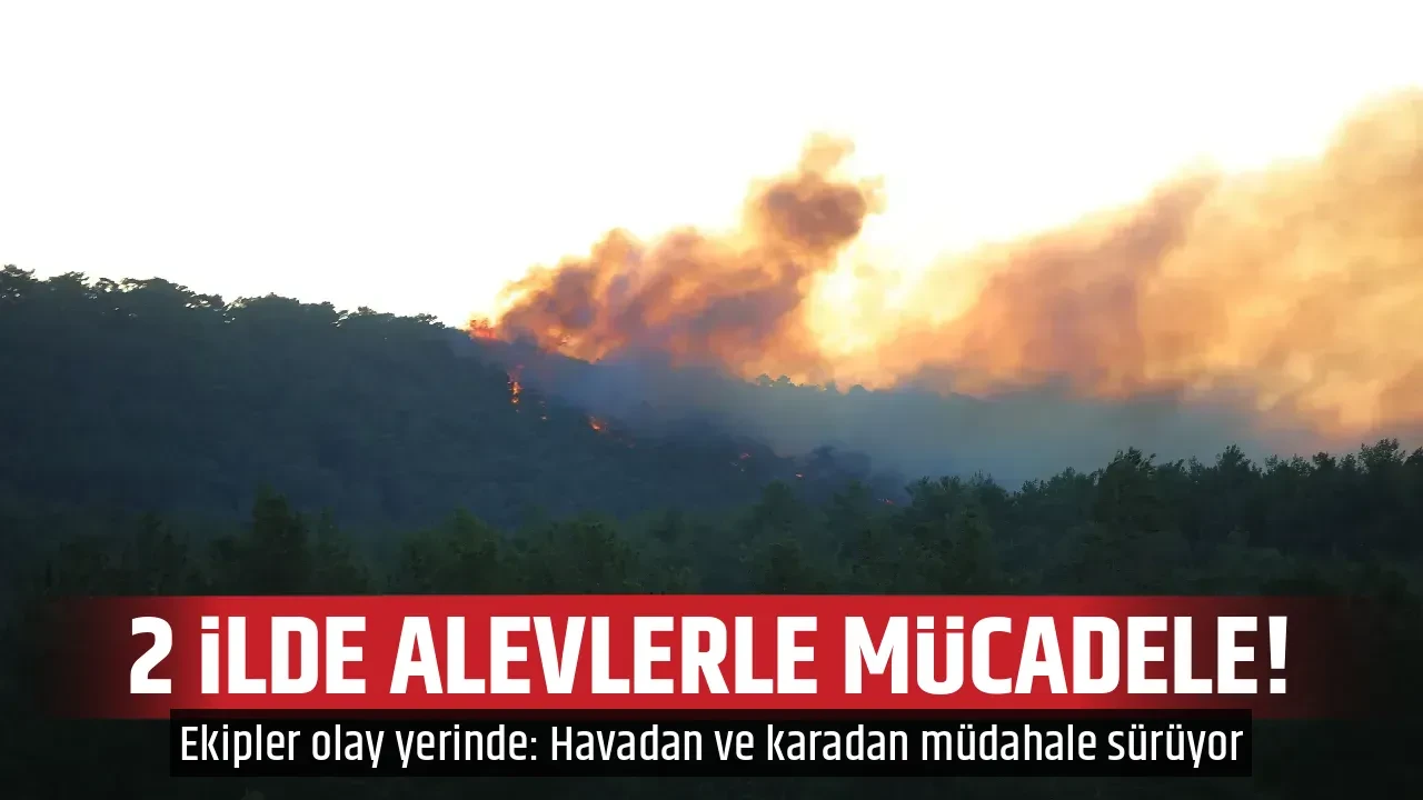 2 İLDE ALEVLERLE MÜCADELE!
