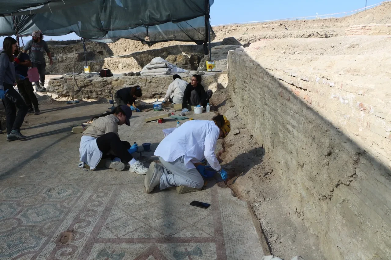 Pompeiopolis’te binlerce yıllık miras gün ışığına kavuştu! 105 metrekarelik mozaik ortaya çıkarıldı