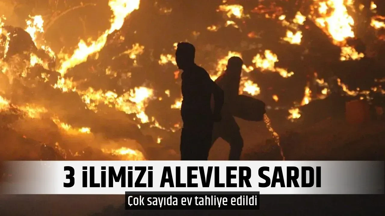 3 İLİMİZİ ALEVLER SARDI