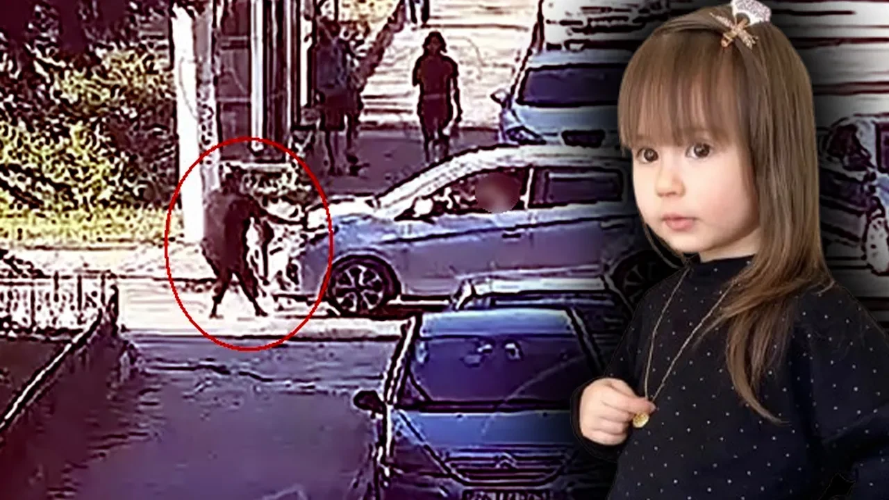 4 yaşındaki Elif’in ölümünde yeni gelişme! Savcılık itiraz etti, sürücü tutuklandı