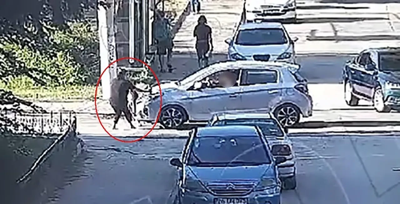 4 yaşındaki Elif’in ölümünde yeni gelişme! Savcılık itiraz etti, sürücü tutuklandı