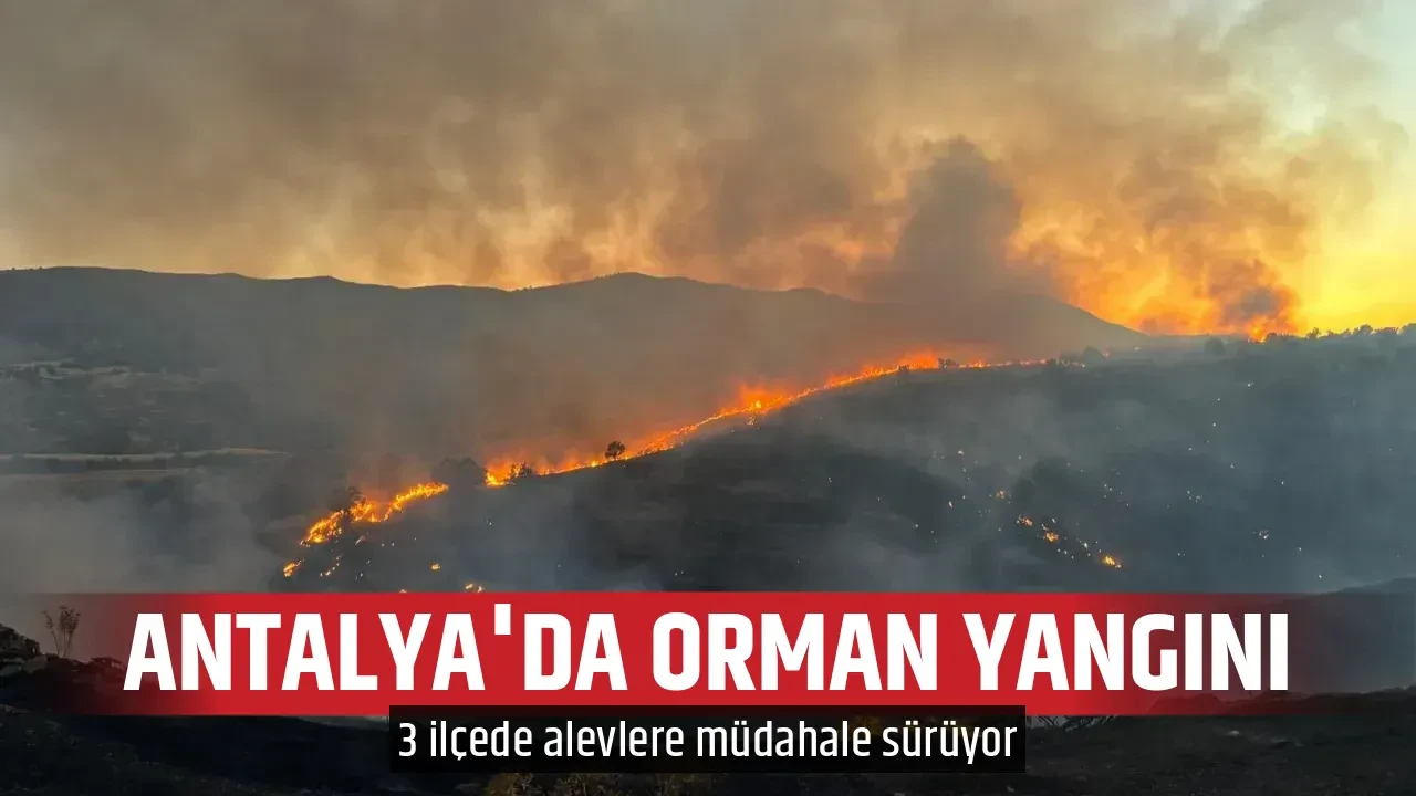 ANTALYA'DA ORMAN YANGINI