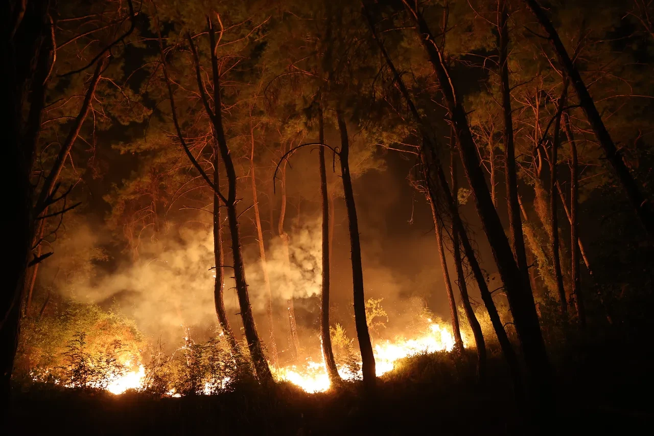 Antalya'da orman yangını: 3 ilçede alevlere müdahale ediliyor