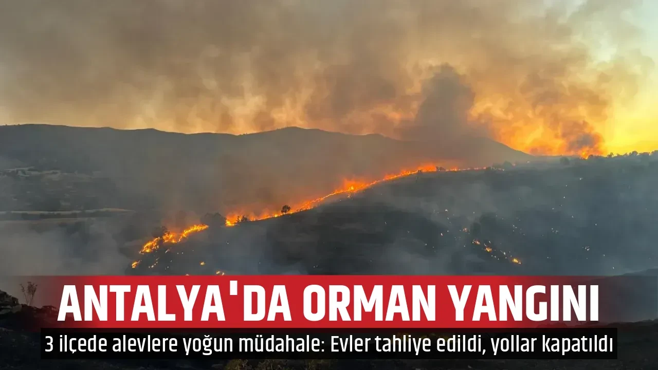 ANTALYA'DA ORMAN YANGINI